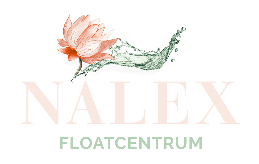 Logo Nalex - voor op donkere achtergrond - vector